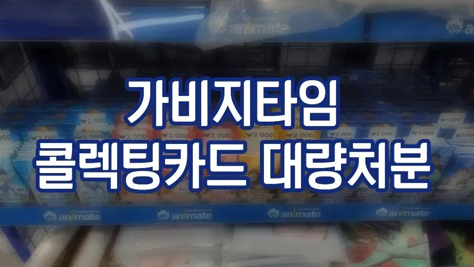 갑타 콜카 콜렉팅카드 대량처분